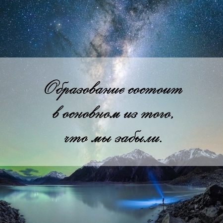 цитата об образовании и реферате